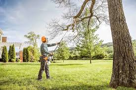 Best Firewood Processing and Delivery  in Mason, TN
